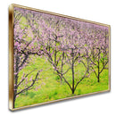 Quadro Plantação De Pessegos