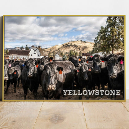 Quadro Gado Da Fazenda Yellowstone