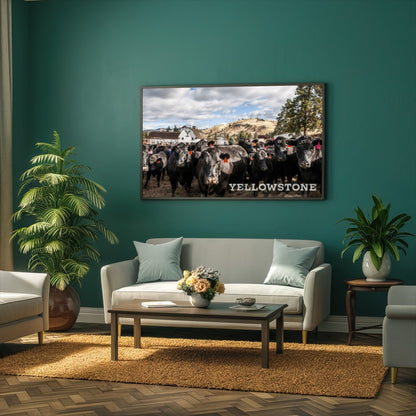 Quadro Gado Da Fazenda Yellowstone