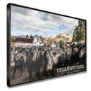 Quadro Gado Da Fazenda Yellowstone