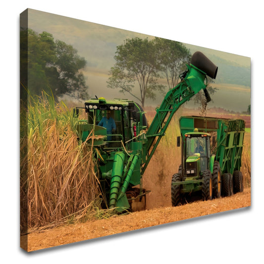 Quadro Colheita De Canavial