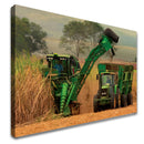 Quadro Colheita De Canavial