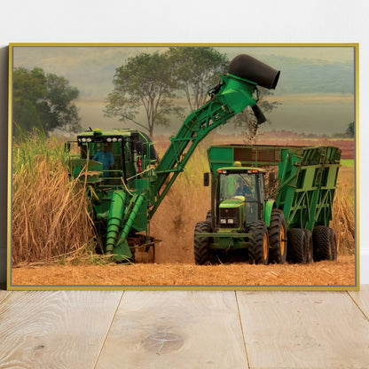 Quadro Colheita De Canavial