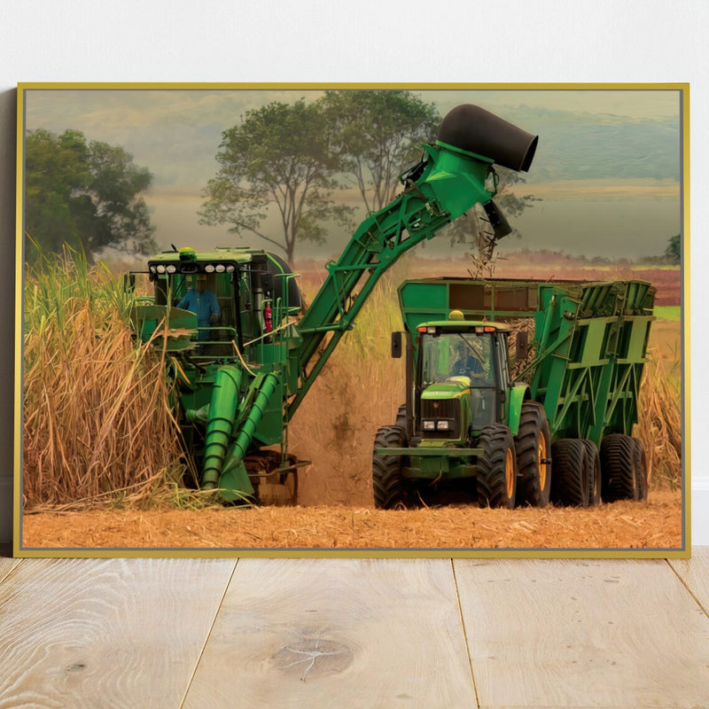 Quadro Colheita De Canavial