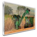 Quadro Colheita De Canavial