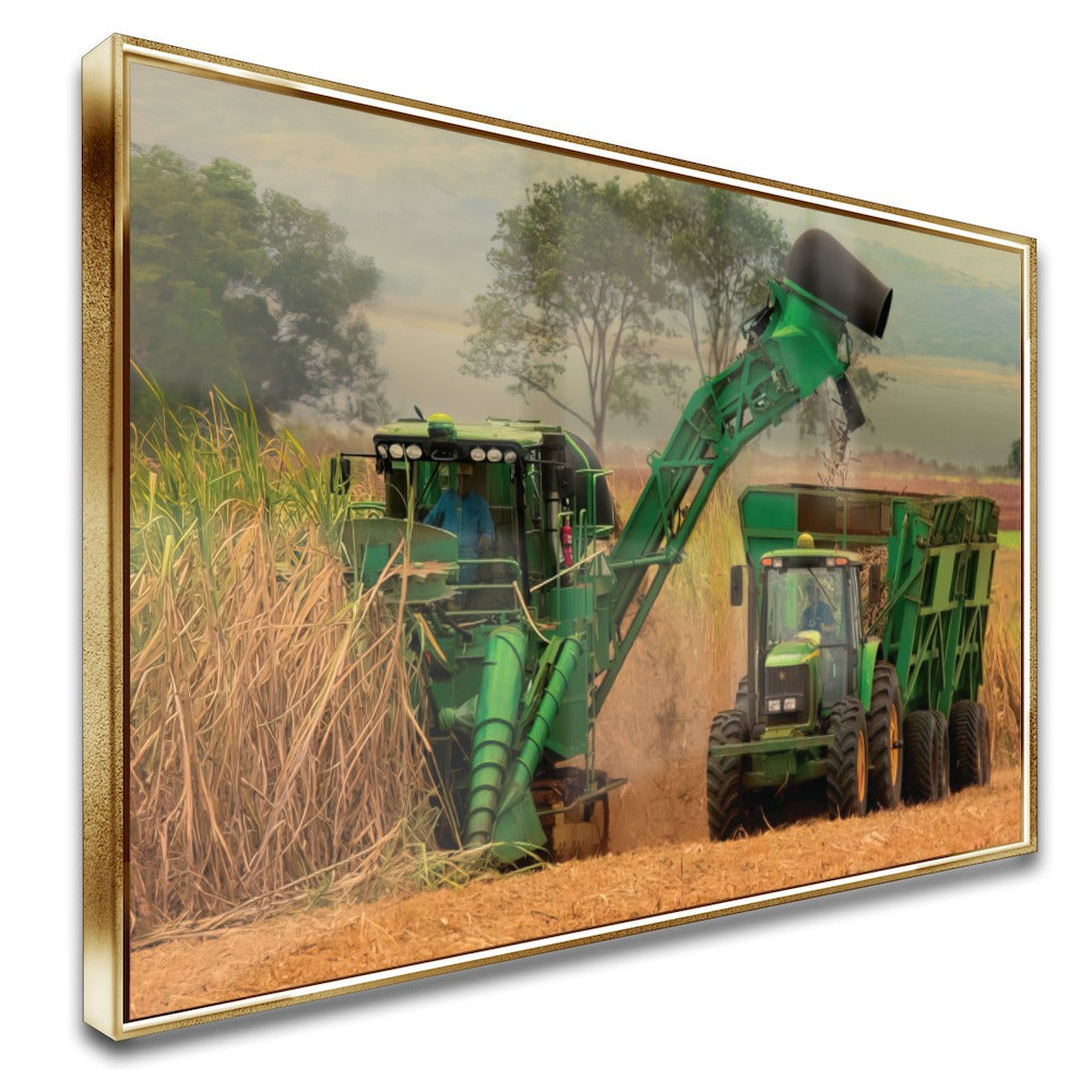 Quadro Colheita De Canavial