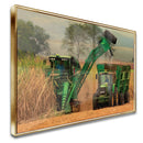 Quadro Colheita De Canavial