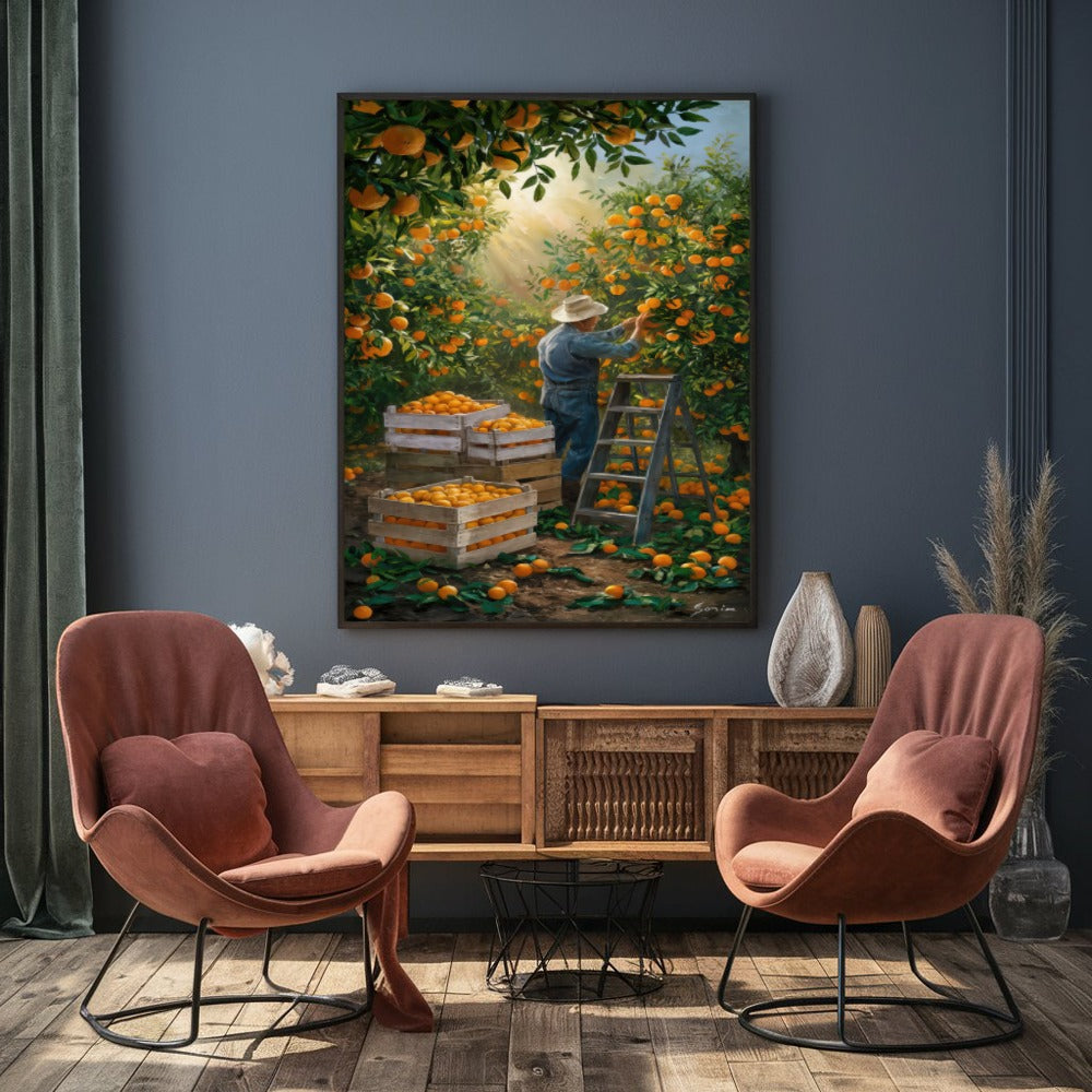 Quadro Camponês Colhendo Laranja