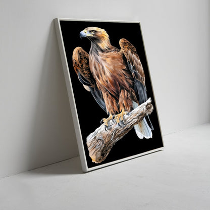 Quadro Poderoso Gavião Blackout