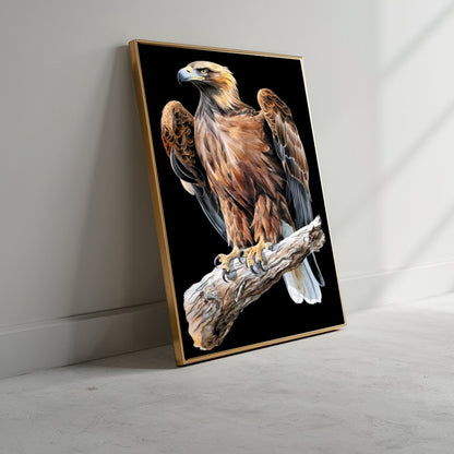 Quadro Poderoso Gavião Blackout