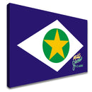 Quadro Mato Grosso É Agro