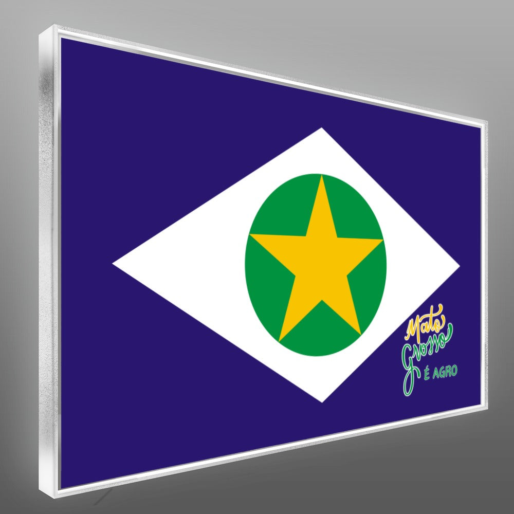 Quadro Mato Grosso É Agro