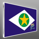 Quadro Mato Grosso É Agro