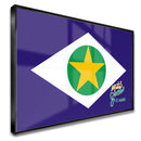 Quadro Mato Grosso É Agro