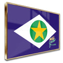 Quadro Mato Grosso É Agro