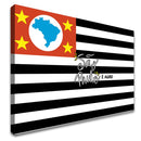 Quadro São Paulo É Agro