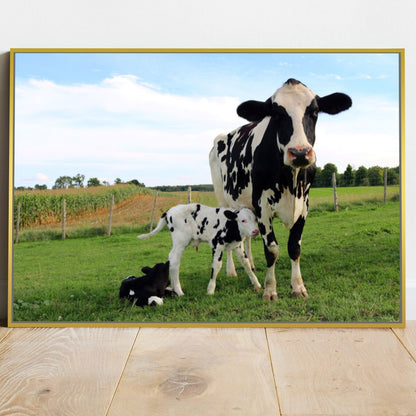 Quadro Vaca E Terneiros