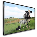 Quadro Vaca E Terneiros