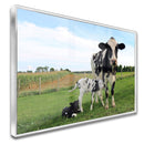 Quadro Vaca E Terneiros