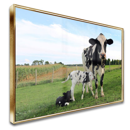 Quadro Vaca E Terneiros