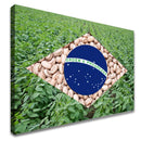 Quadro Bandeira Brasil Agro Feijão