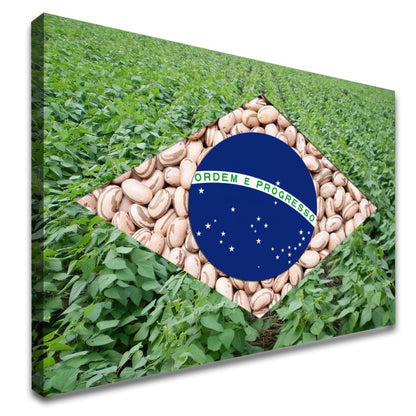 Quadro Bandeira Brasil Agro Feijão