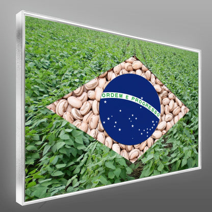 Quadro Bandeira Brasil Agro Feijão