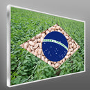 Quadro Bandeira Brasil Agro Feijão