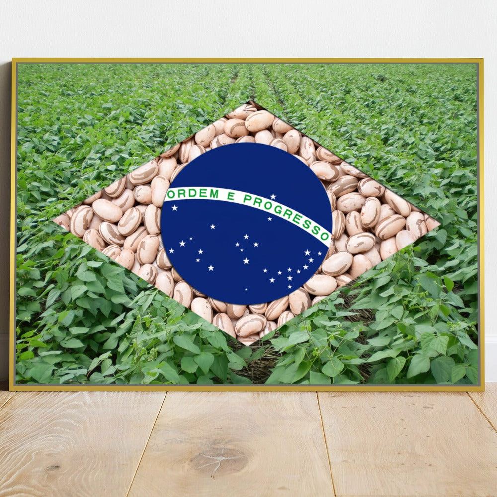 Quadro Bandeira Brasil Agro Feijão