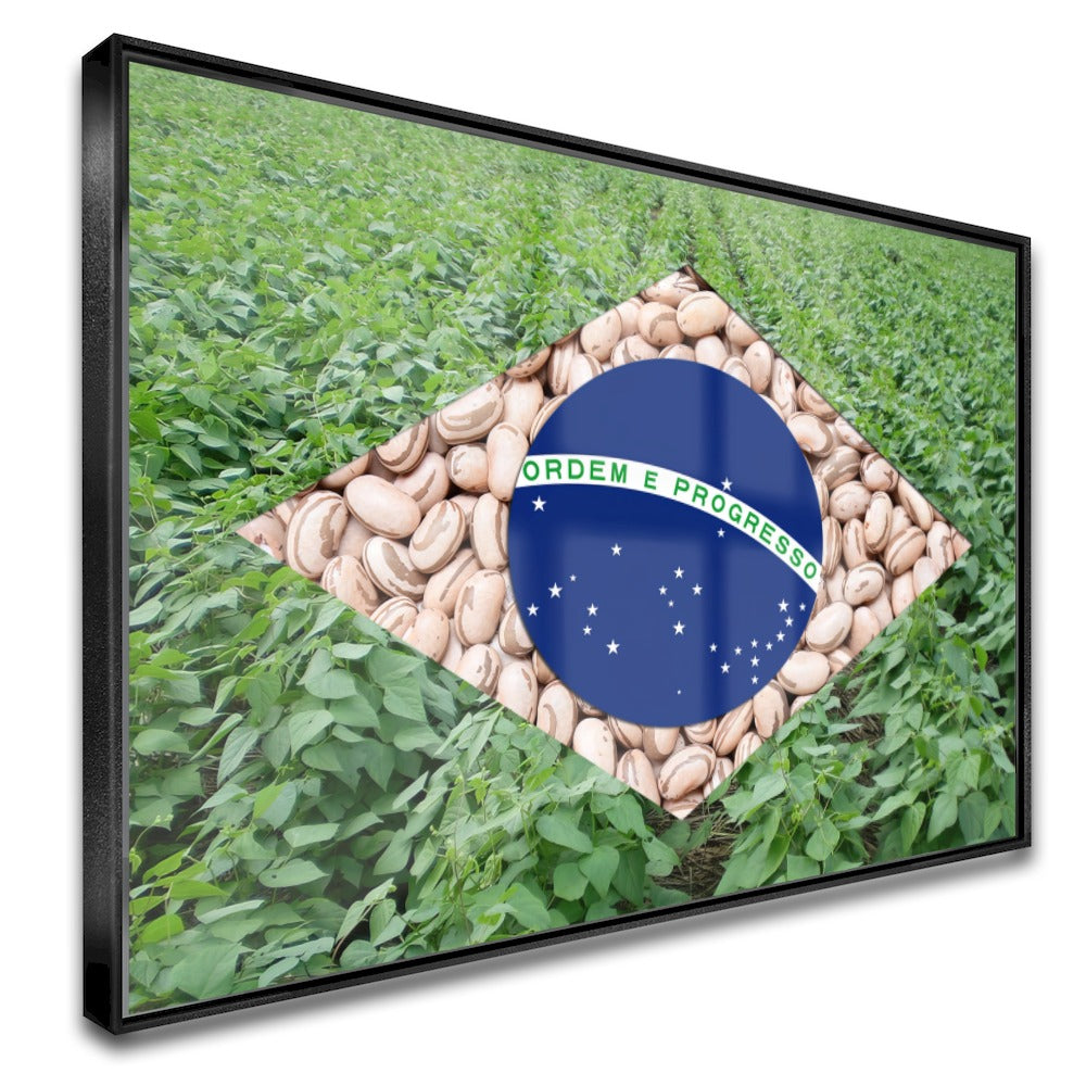 Quadro Bandeira Brasil Agro Feijão