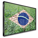 Quadro Bandeira Brasil Agro Feijão