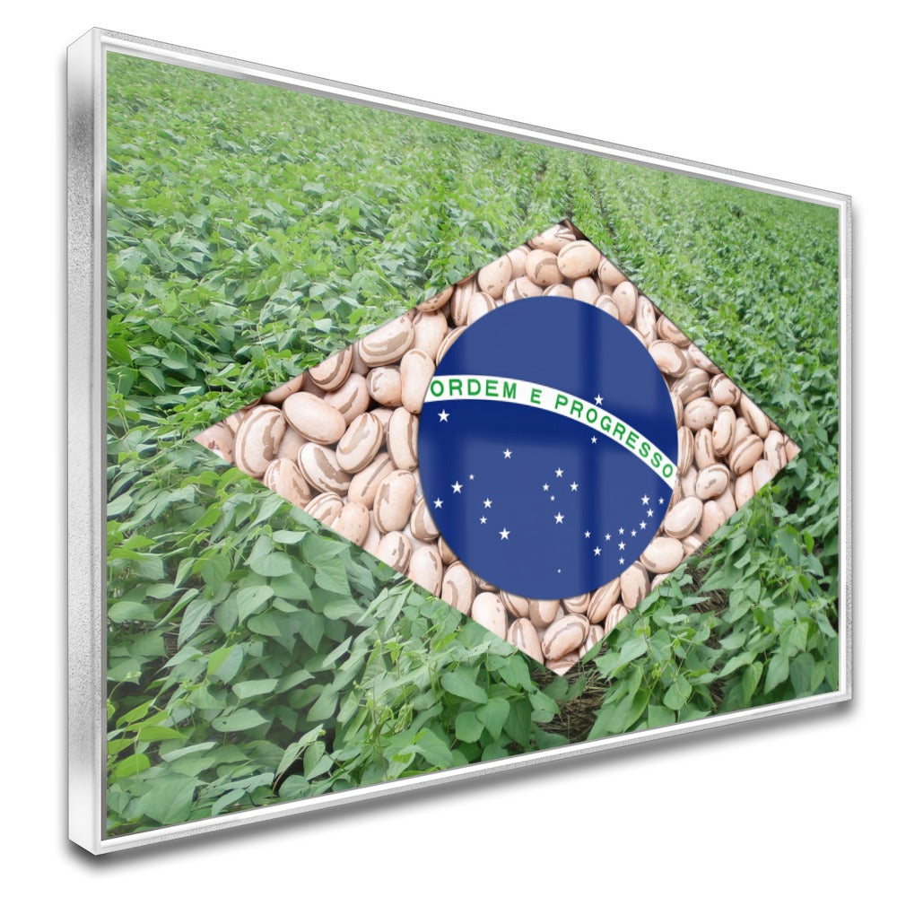 Quadro Bandeira Brasil Agro Feijão