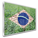Quadro Bandeira Brasil Agro Feijão