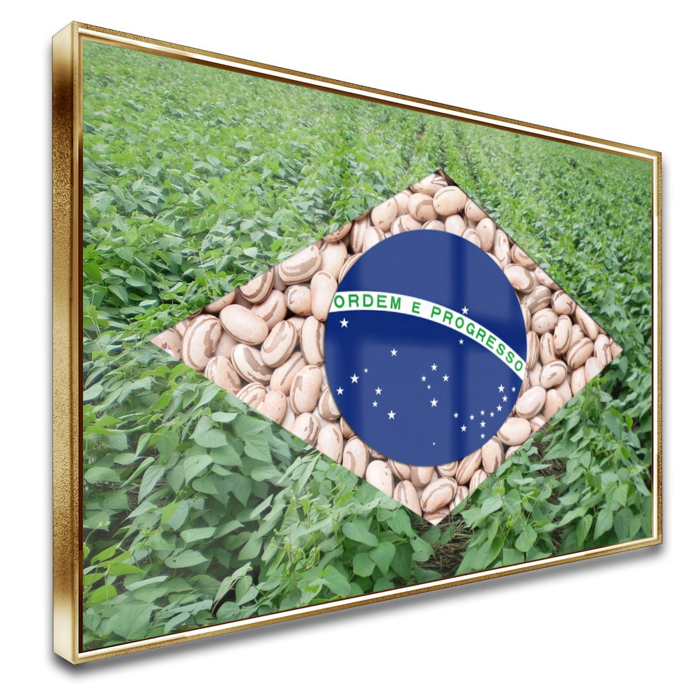 Quadro Bandeira Brasil Agro Feijão