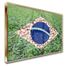 Quadro Bandeira Brasil Agro Feijão