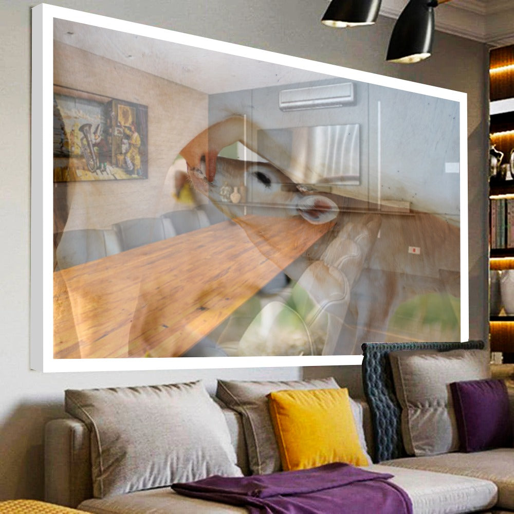 Quadro Vaca E Bezerro Nelore