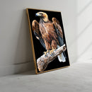 Quadro Águia Monumental No Tronco Fundo Blackout