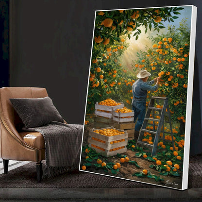 Quadro Camponês Colhendo Laranja