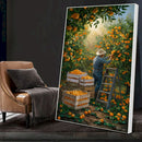 Quadro Camponês Colhendo Laranja
