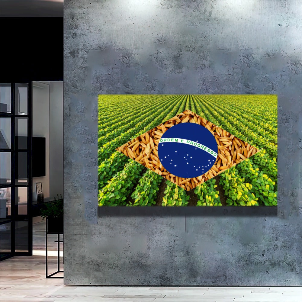 Quadro Bandeira Brasil Soja E Arroz