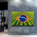 Quadro Bandeira Brasil Soja E Arroz