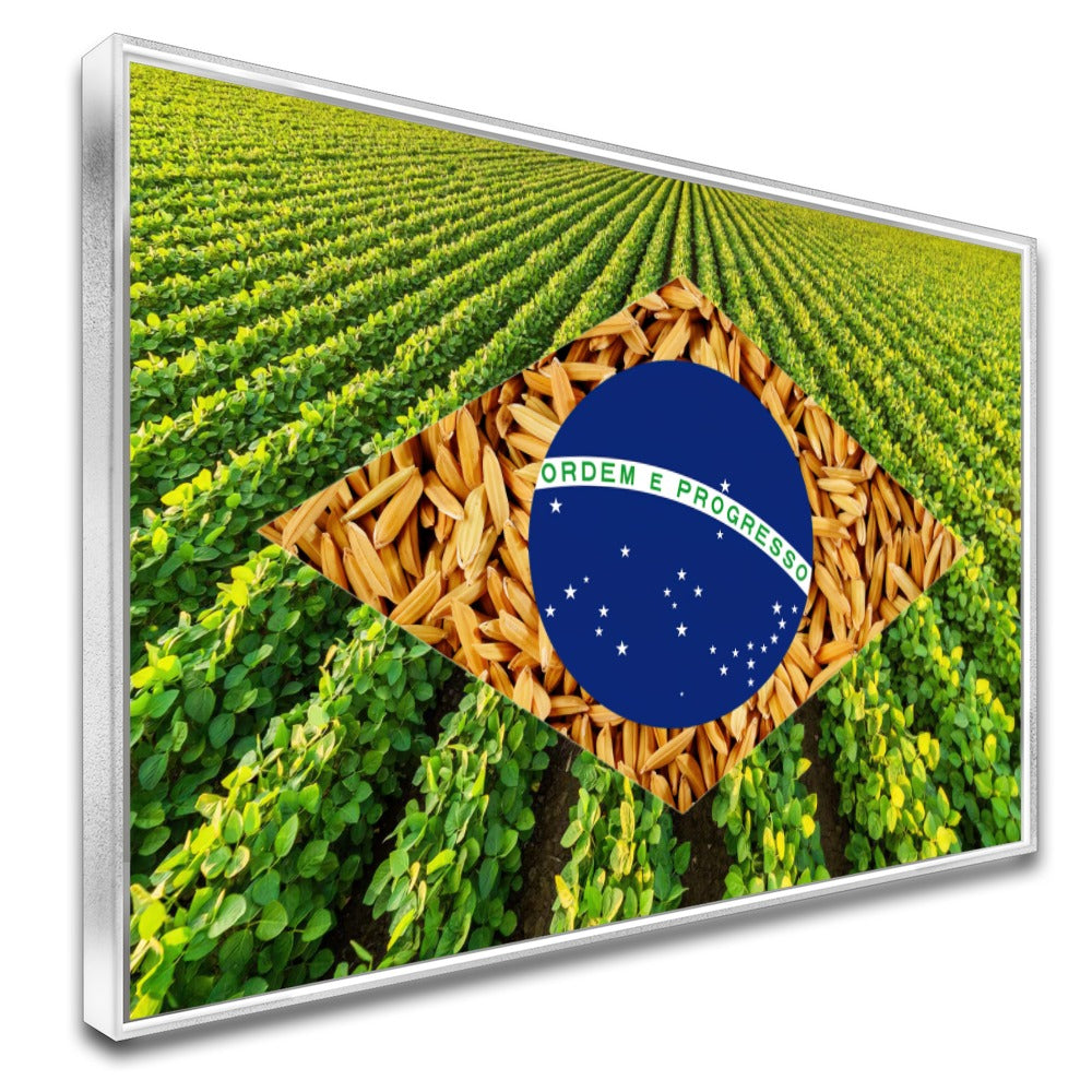 Quadro Bandeira Brasil Soja E Arroz