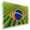 Quadro Bandeira Brasil Soja E Arroz