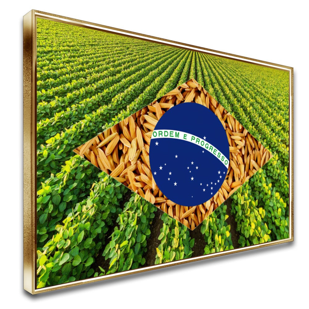 Quadro bandeira do Brasil soja e arroz – Arte agro – Agro Quadros