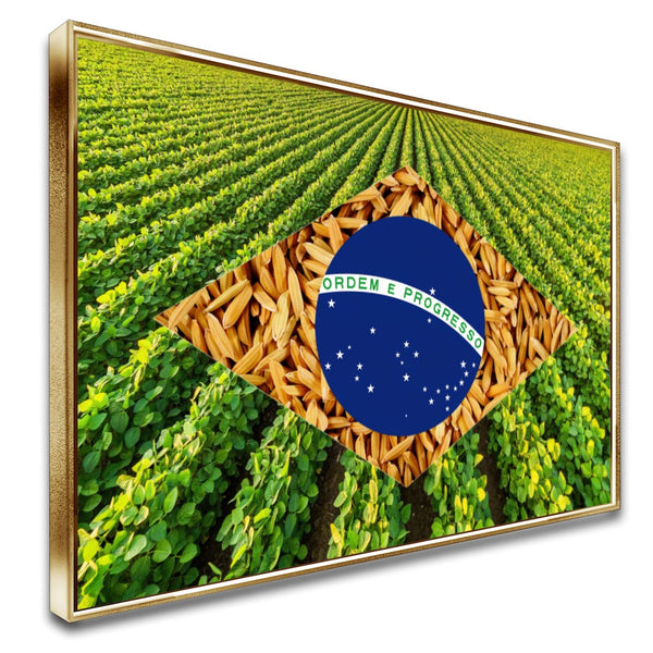 Quadro Bandeira Brasil Soja E Arroz