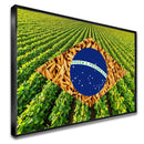 Quadro Bandeira Brasil Soja E Arroz