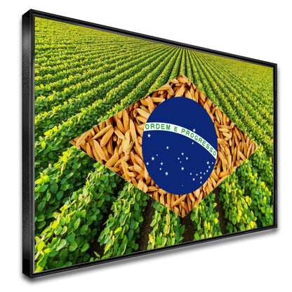 Quadro Bandeira Brasil Soja E Arroz