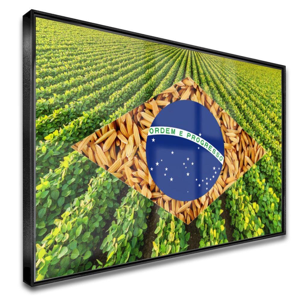 Quadro Bandeira Brasil Soja E Arroz