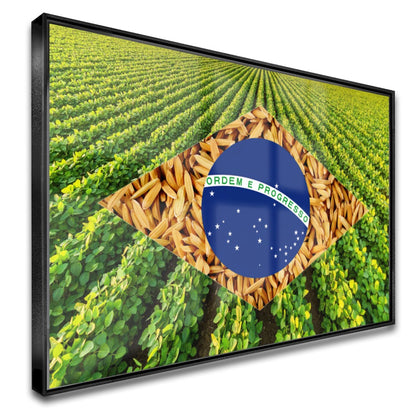 Quadro Bandeira Brasil Soja E Arroz