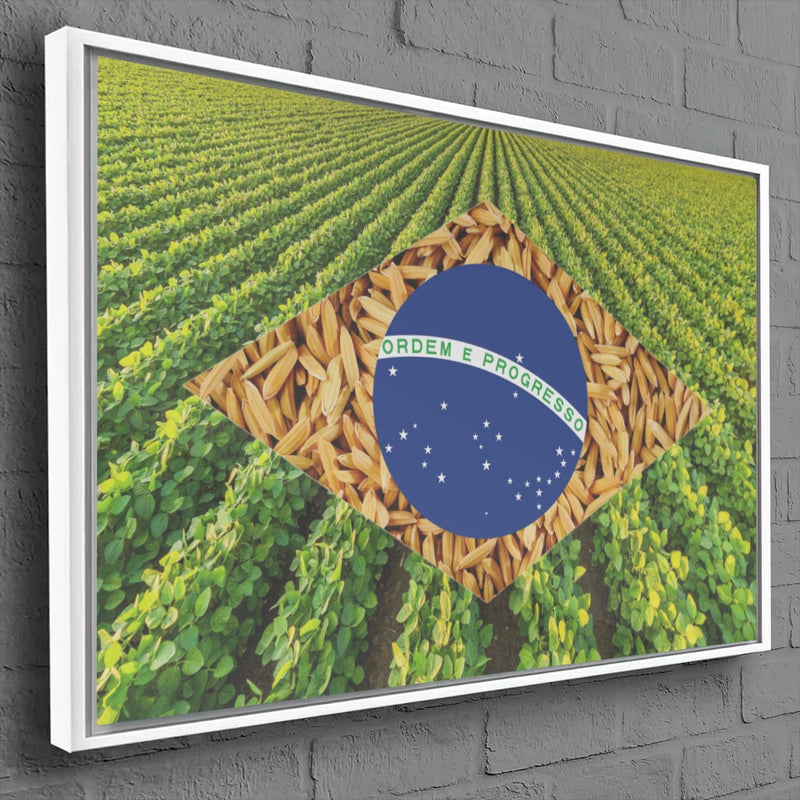 Quadro Bandeira Brasil Soja E Arroz